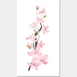 Sakura Branch Posters and Art
